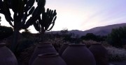 cactus desierto hotel