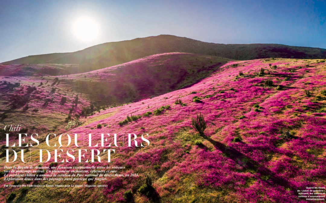 Los colores del desierto | Le Figaro Magazine